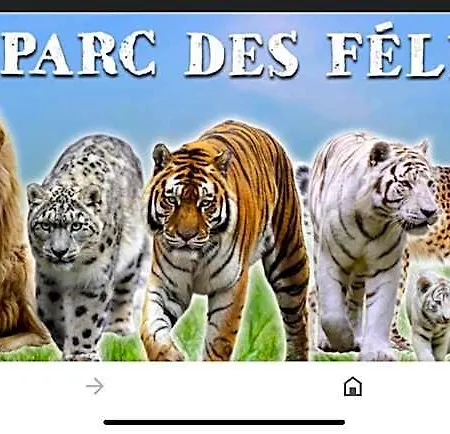 3* Dans De Tourisme